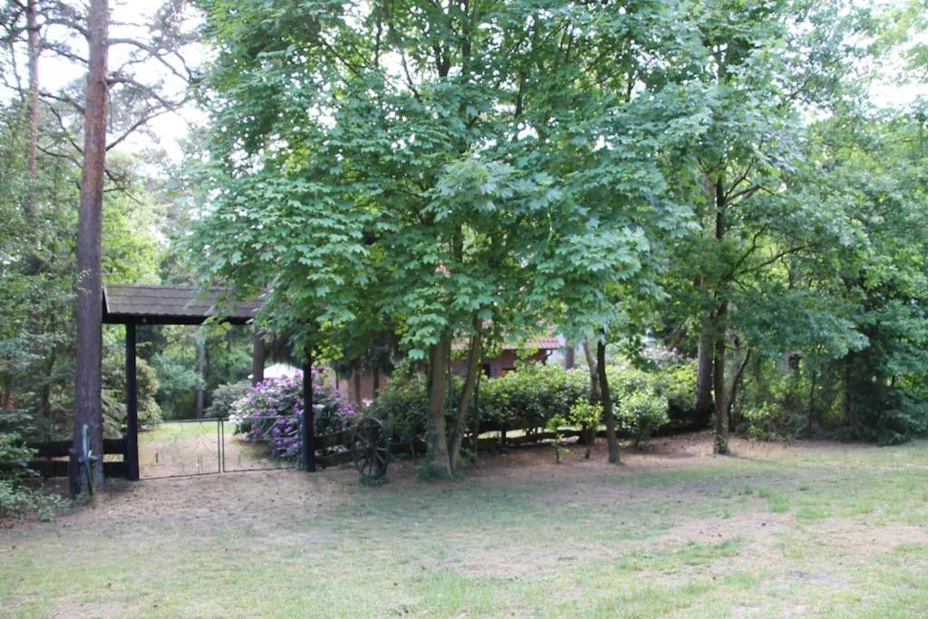 Ferienhaus Am Waldesrand Hatten Eksteriør bilde