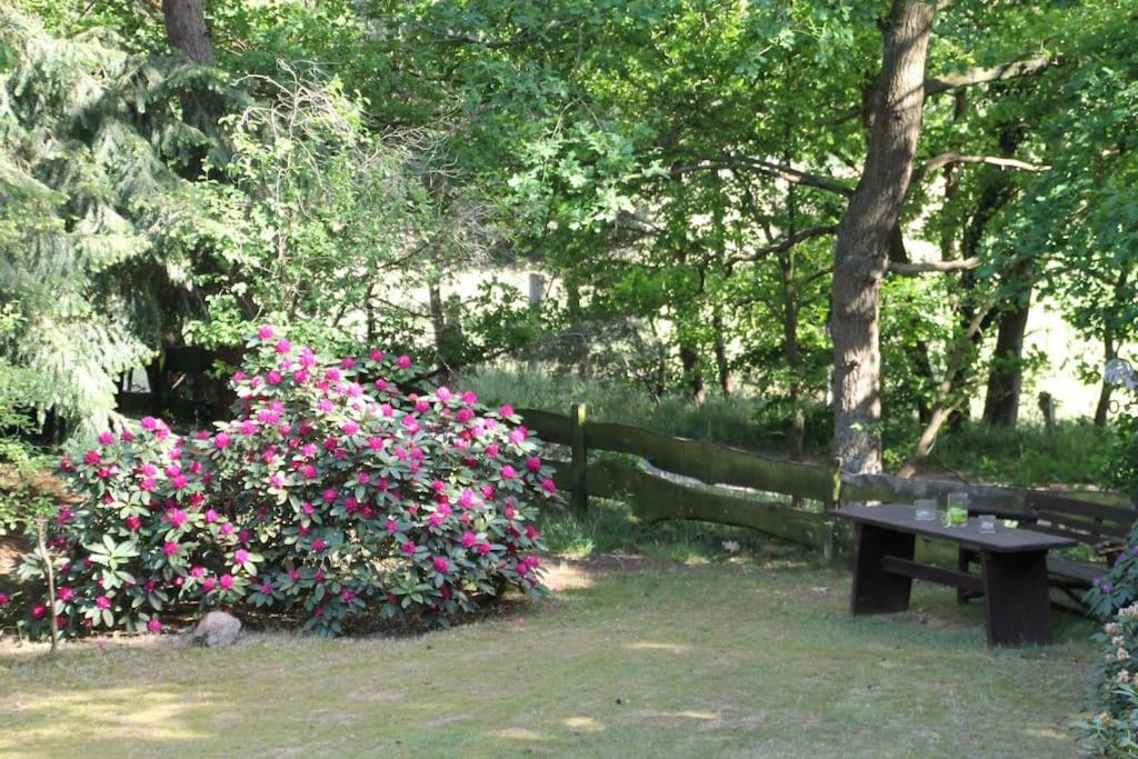 Ferienhaus Am Waldesrand Hatten Eksteriør bilde